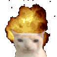 catExplode