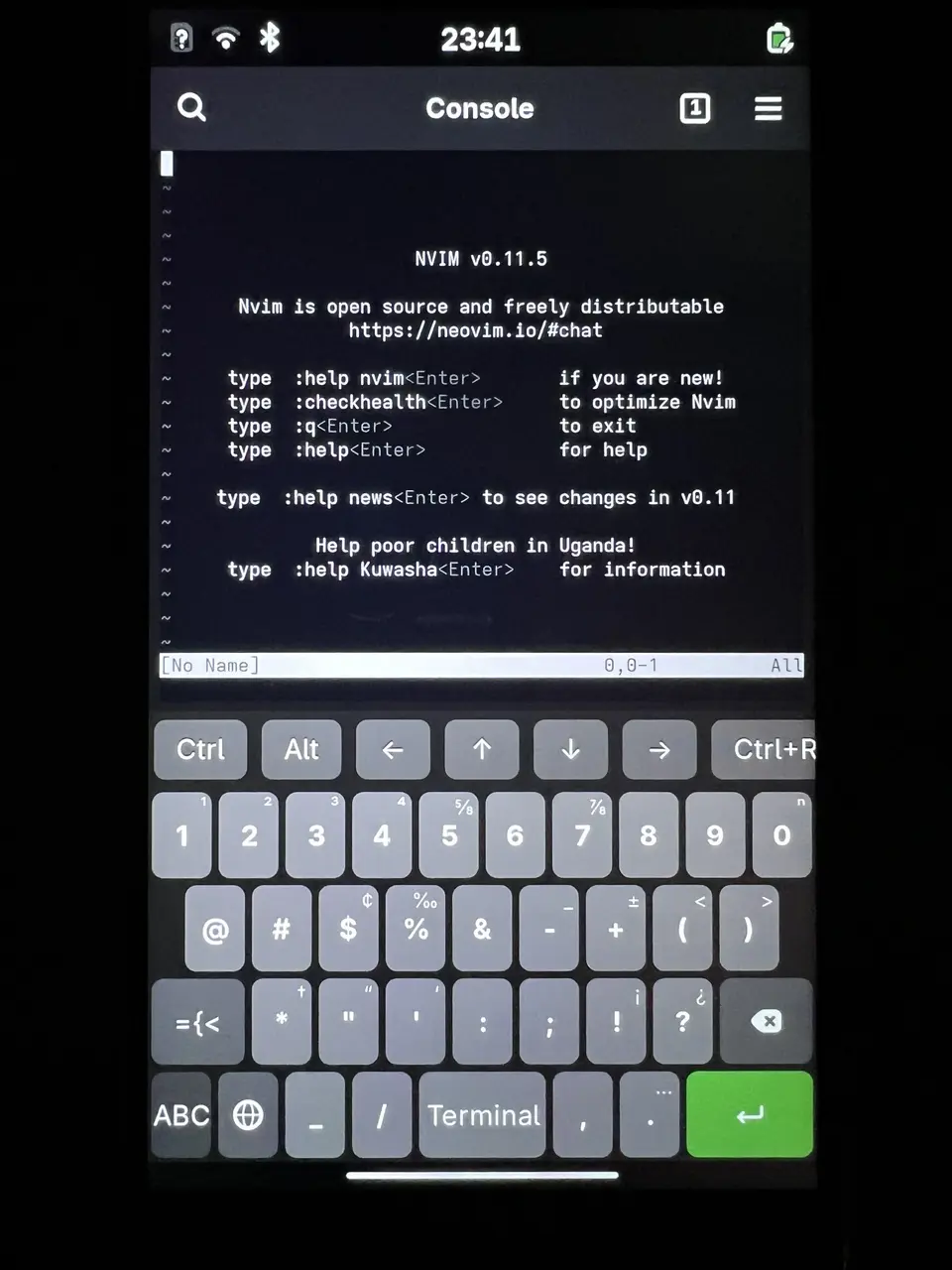 a smartphone running phosh on postmarketOS. neovim is open in console.