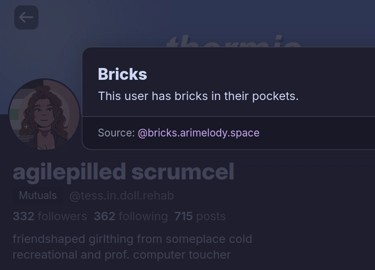 on thermia's bluesky profile: "Bricks. This user has bricks in their pockets. Source: @bricks.arimelody.space"