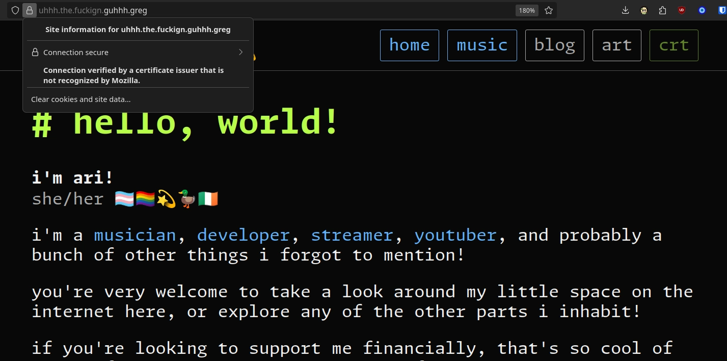 accessing my website securely through `uhhh.the.fuckign.guhhh.greg`