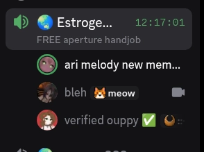 ari, claire, and julia, in a voice channel called "Estrogen..." with the description "FREE aperture handjob". the call has been ongoing for 12 hours, 17 minutes, and 1 second