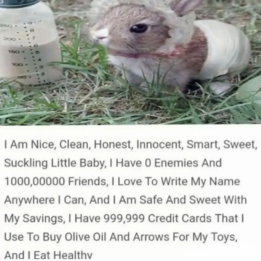 picture of a bunny in a baby hat with a bottle of milk, captioned: "I Am Nice, Clean, Honest, Innocent, Smart, Sweet, Suckling Little Baby, I Have 0 Enemies And 1000,00000 Friends, I Love To Write My Name Anywhere I Can, And I Am Safe And Sweet With My Savings, I Have 999,999 Credit Cards That I Use To Buy Olive Oil And Arrows For My Toys, And I Eat Healthy"
